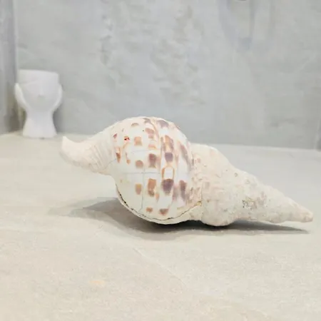 Vendégház C Mykonos