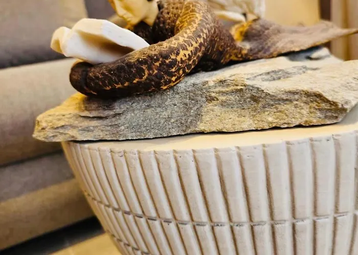 Gasthof C Mykonos Mykonos Town